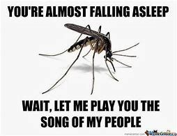 The Mosquitos Have Hatched!